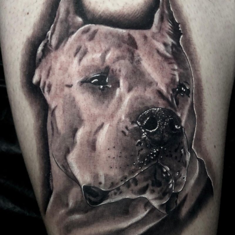 364109340_18276312574176791_5904780598081153303_n